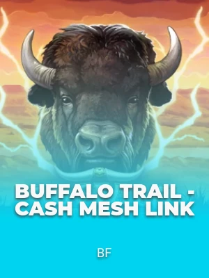 Buffalo Trail - Cash Mesh LINK