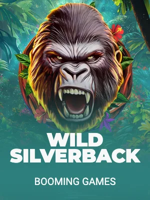 Wild Silverback