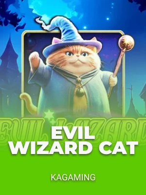 Evil Wizard Cat