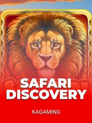 Safari Discovery