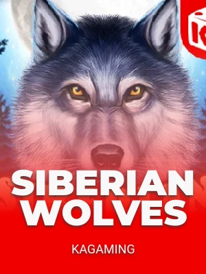 Siberian Wolves