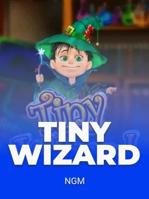 Tiny Wizard