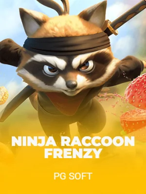 Ninja Raccoon Frenzy