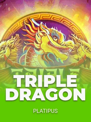 Triple Dragon