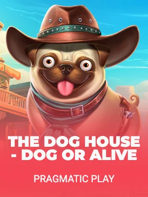 The Dog House - Dog or Alive